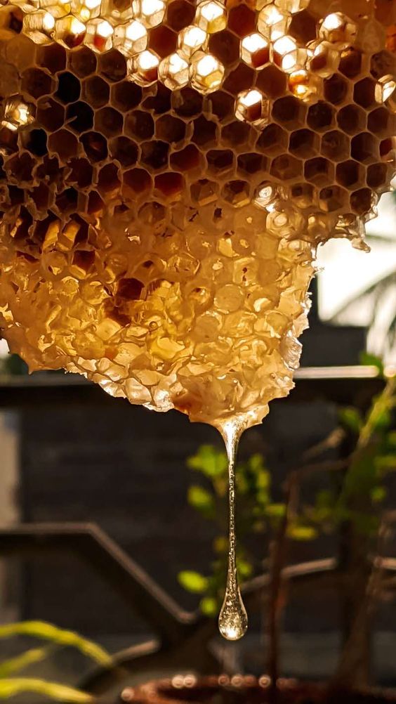 According to one study, honey was actually more effective than two popular cough medications