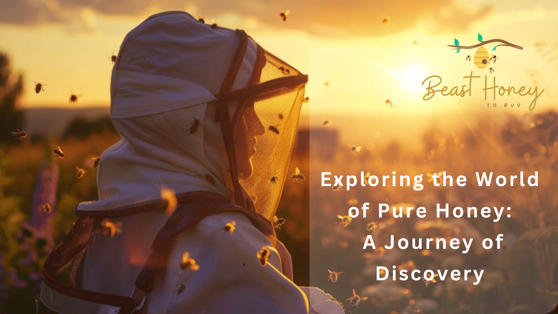 Exploring the World of Pure Honey A Journey of Discovery.