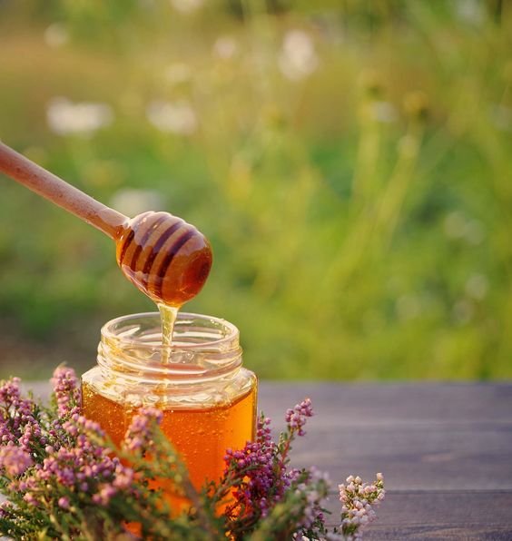 The best honey for healing wounds