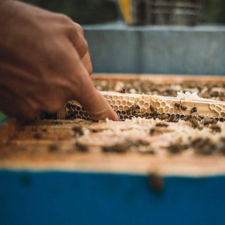 Acacia based honey