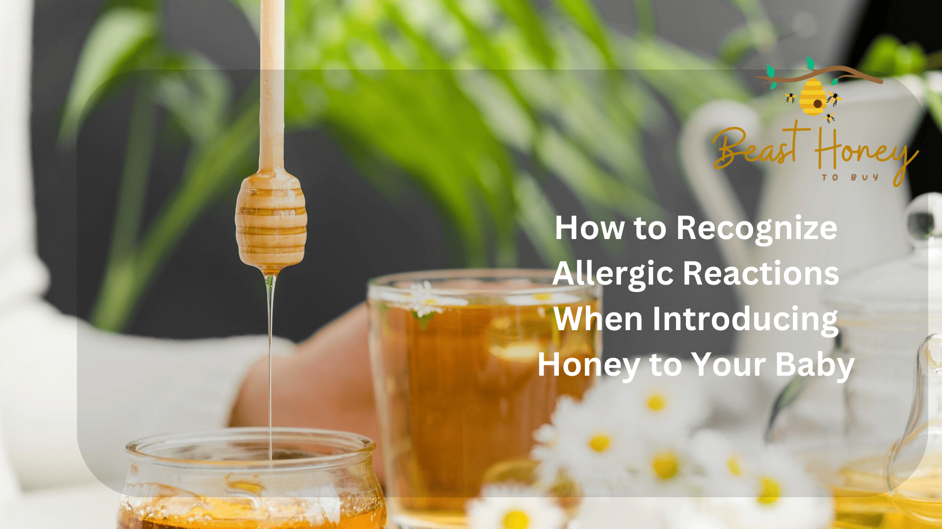 How to Recognize Allergic Reactions When Introducing Honey to Your Baby