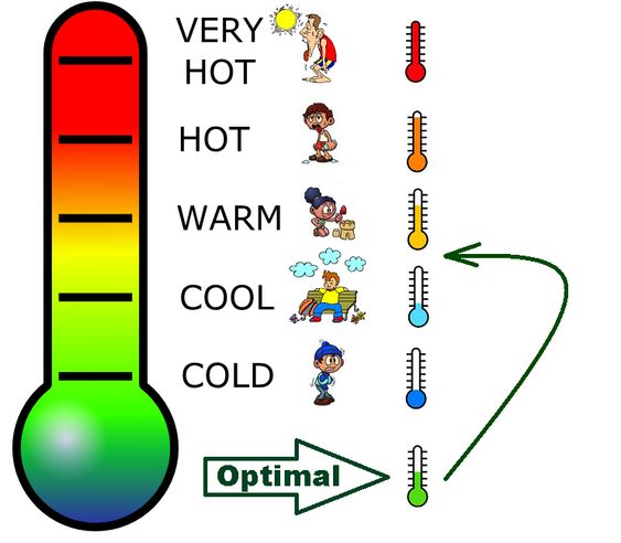 Temperature Is Important for Digestive Dilemmas