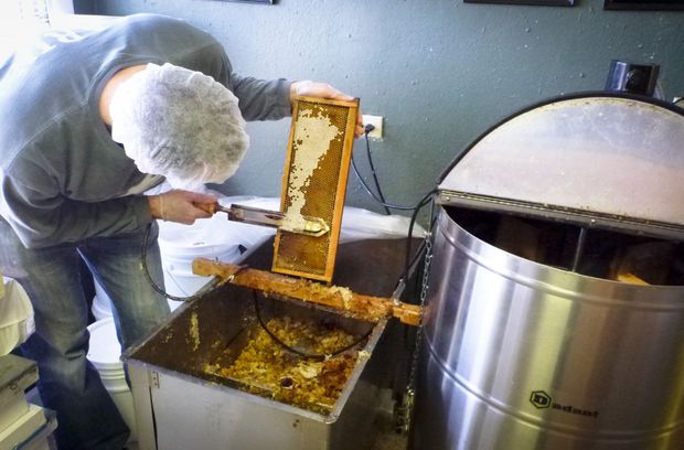 Raw Honey