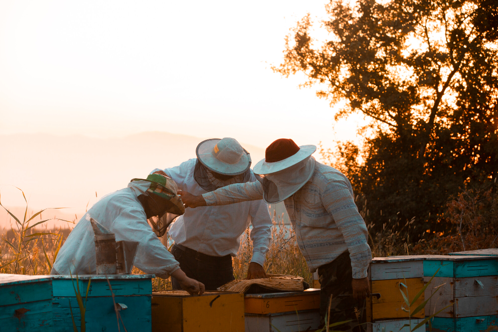 Beekeepers Beekeepers