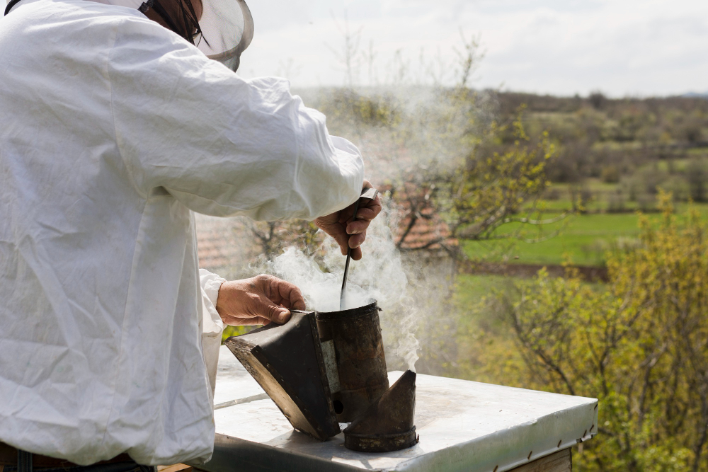 beekeeping beekeeping