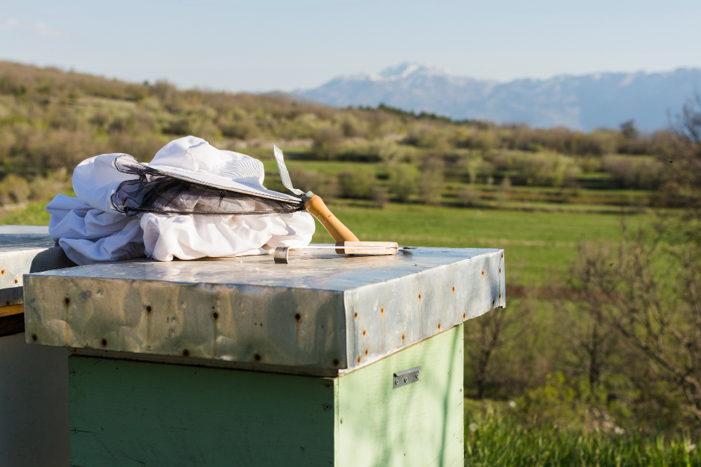 Beekeeping Beekeeping
