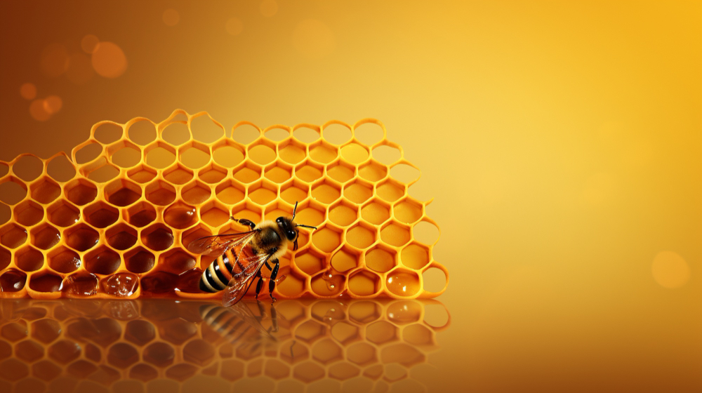 Bulk Honey