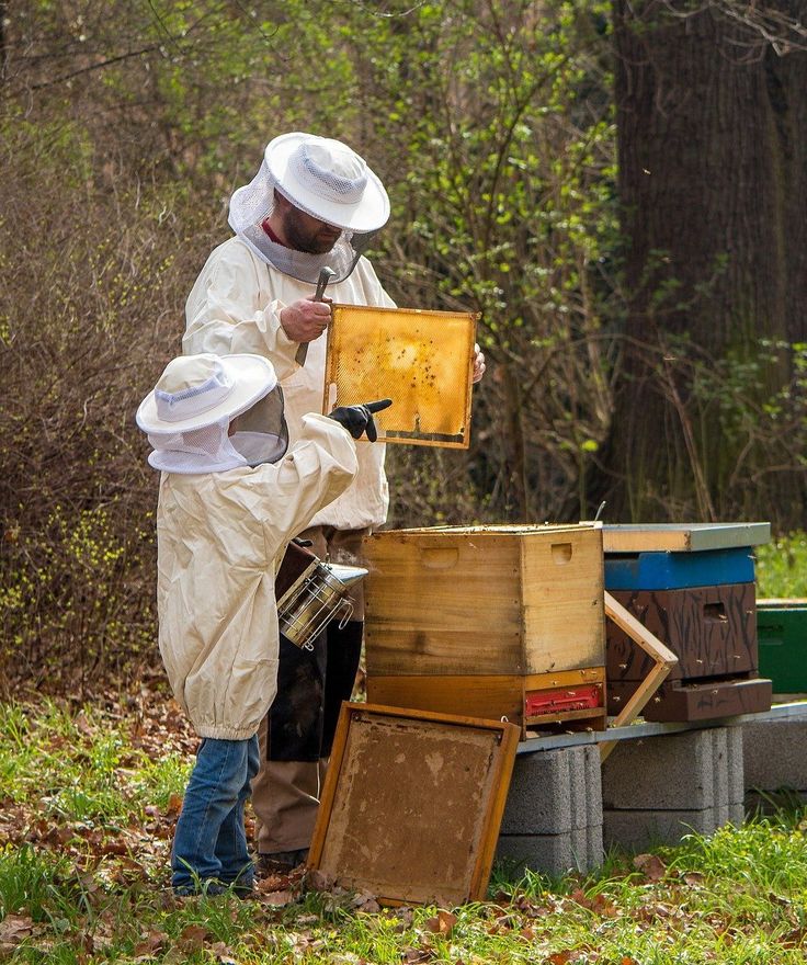 local beekeepers local beekeepers