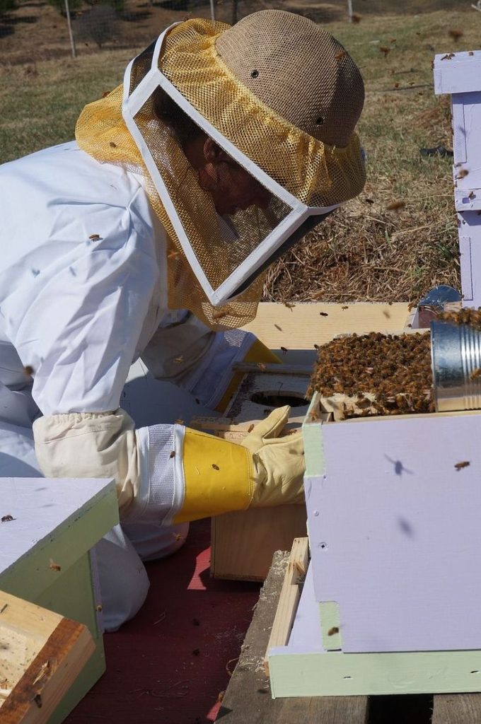 Local Beekeepers Local Beekeepers