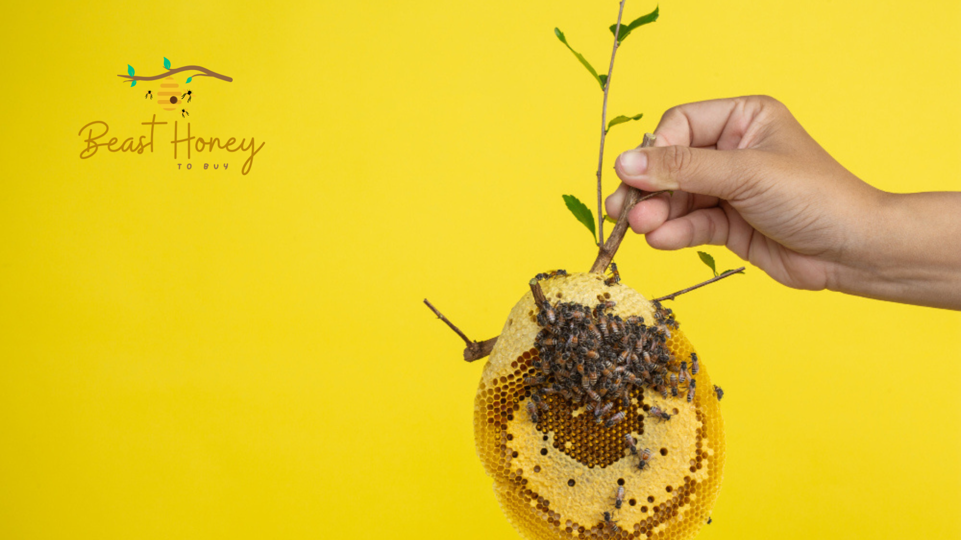 Honey Eco-Friendly