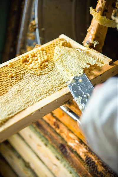 How to Use Honey in Skincare Products How to Use Honey in Skincare Products