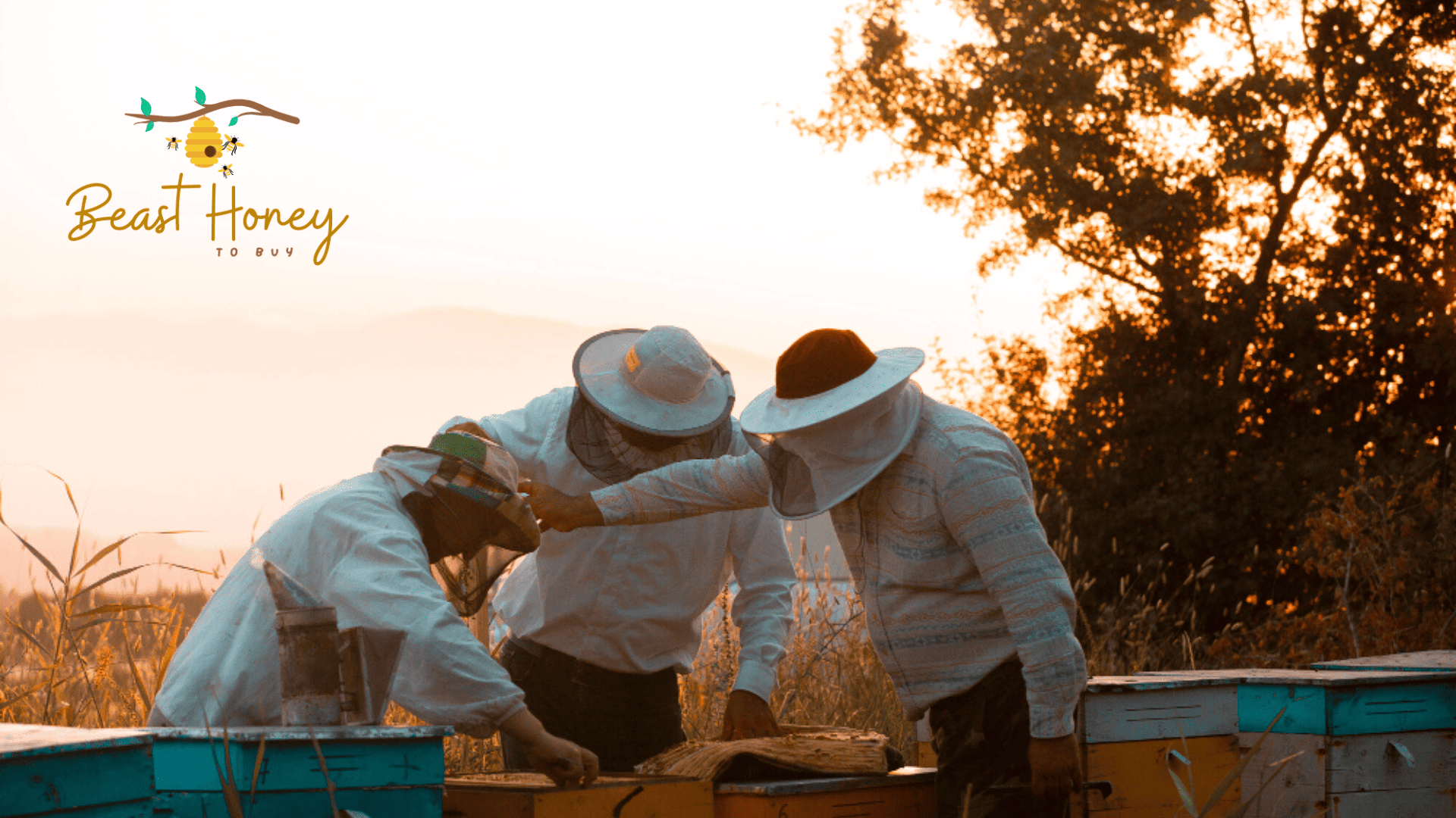 local honey