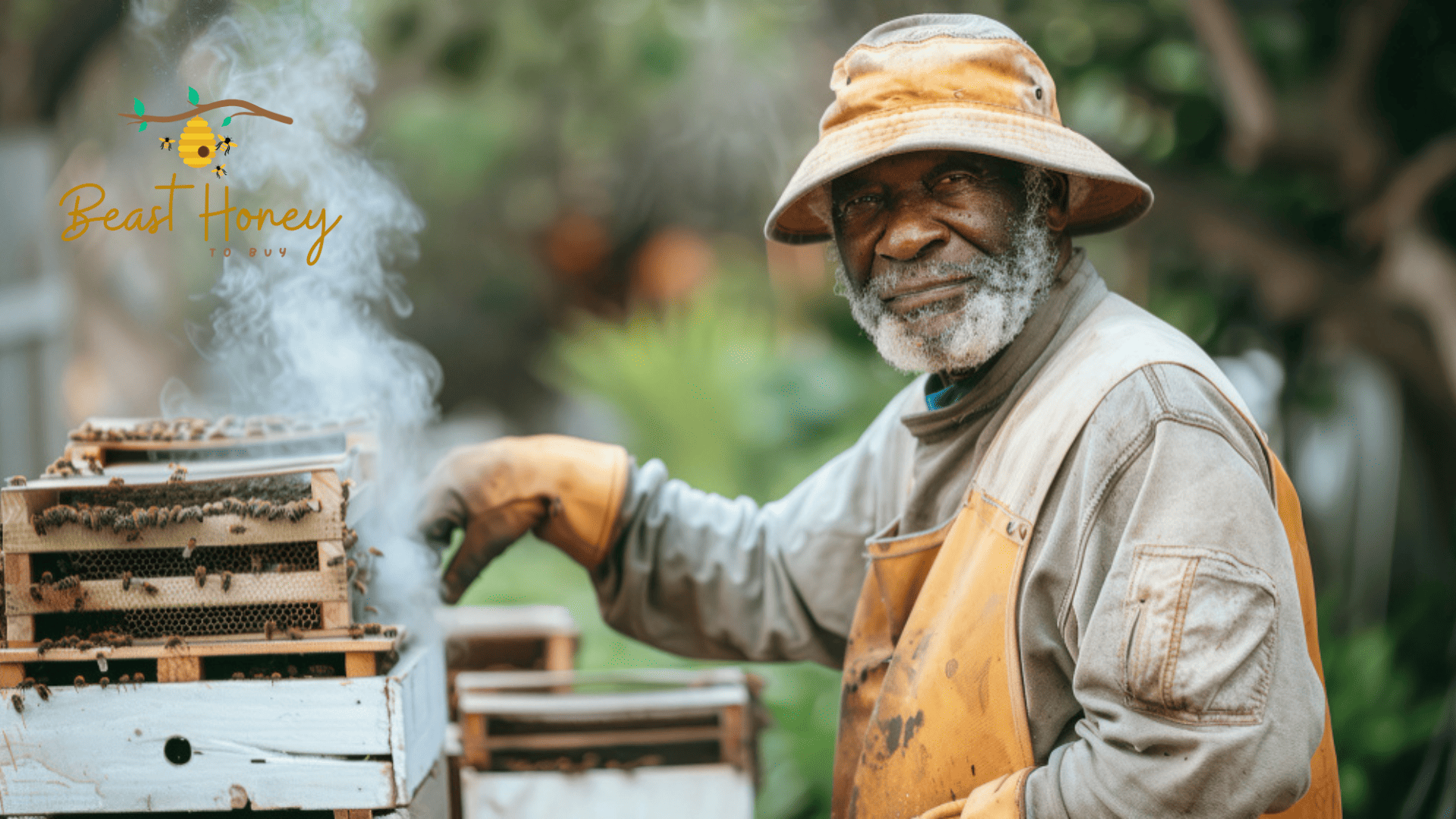 Buying Honey in Bulk
