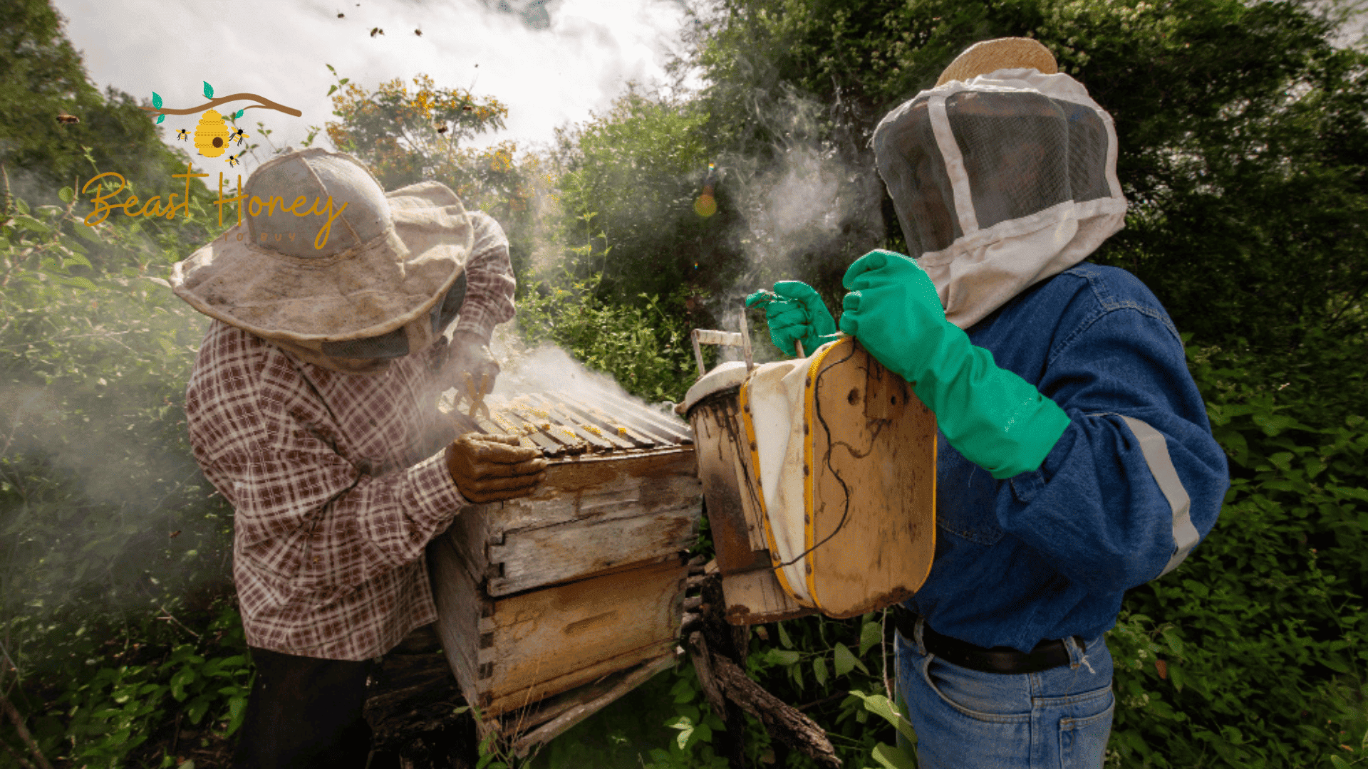 Busy Bee