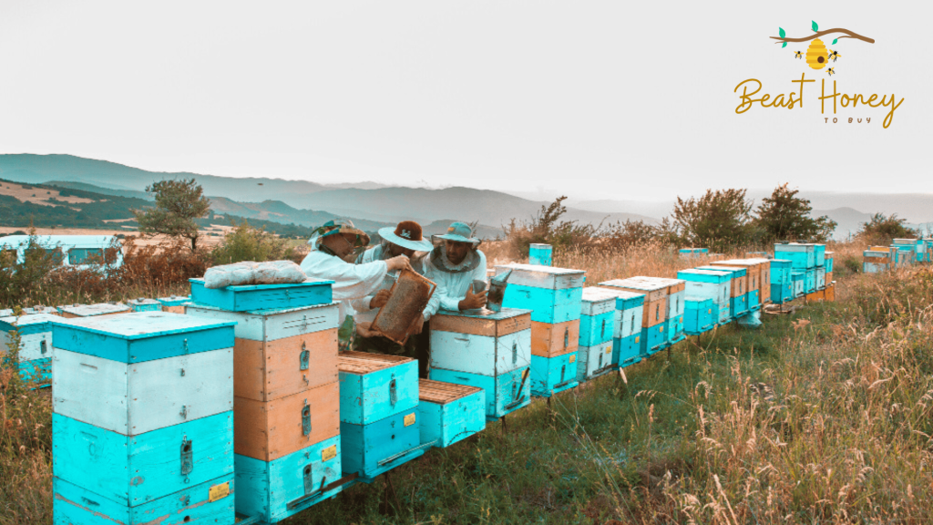 Eco bee farms
