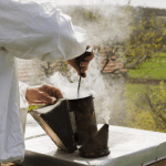 beekeeping