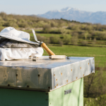 Beekeeping