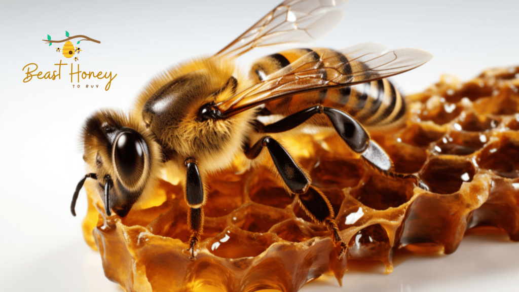 Honey subscription boxes