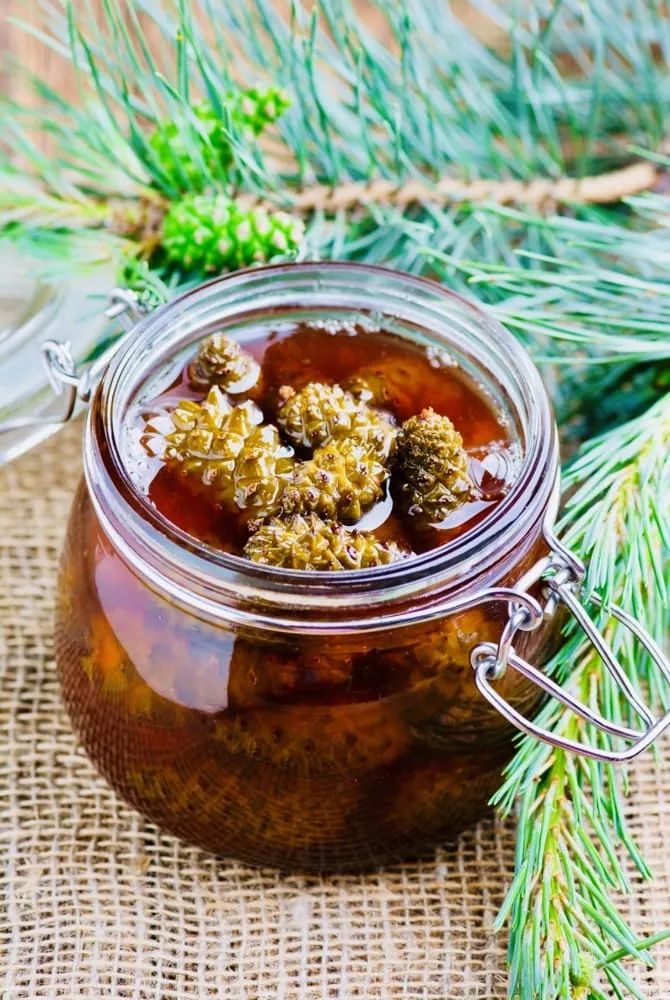 The Pine Honey Process The Pine Honey Process