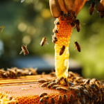 The Forest Honey