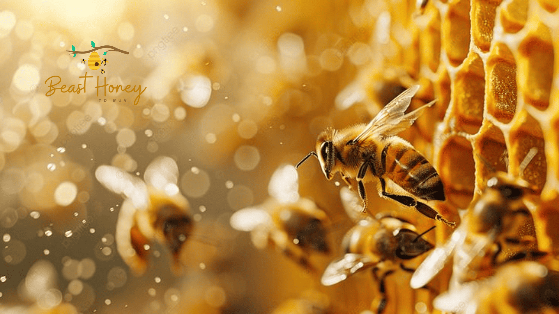 Mad Honey Hallucinations: Facts vs. Myths