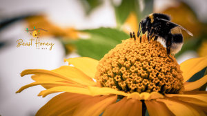 Honey from Poisonous Flowers