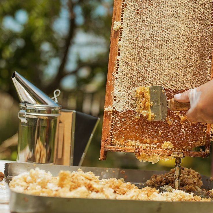 Raw honey 